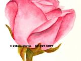 Drawing A Pink Rose if there Be Thorns In 2018 Products Pinterest Watercolor Art