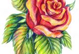 Drawing A Red Rose 25 Beautiful Rose Drawings and Paintings for Your Inspiration