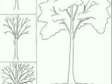 Drawing A Rose Bush Draw Tree How to Draw Drawings Art Drawings Art