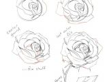 Drawing A Rose Bush How to Draw A Rose Tutorial by Cherrimut On Tumblr Art Drawings