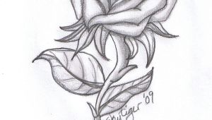 Drawing A Rose Gif Drawing Beautiful Roses Rose Drawings Rose Symbol Of Love Rose