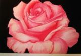 Drawing A Rose with Oil Pastels 667 Best Art Oil Pastel Images Drawings Pastel Drawing Art