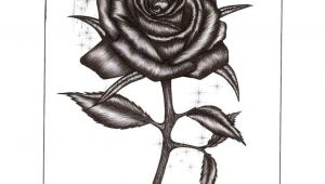 Drawing A Rose with Pen Rose Drawings Rose Pen Drawing with Glass by Blood Huntress On