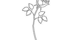 Drawing A Rose Youtube 163 Best How to Draw Rose Images Drawings Drawing Flowers How to