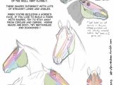Drawing A Skull Tutorial Drawing Art Draw Animal Skeleton Anatomy Horse Reference Tutorial