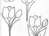 Drawing A Tulip Flowers 103 Best Sketch for Watercolour Images Drawing Flowers Flower