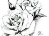 Drawing A White Rose the Secret Of White Rose Flower