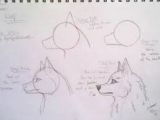 Drawing A Wolf Eye Image Result for Drawing Of Wolf Eyes Drawing Ideas Drawings