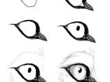 Drawing A Wolf Eye Pin by Graveyardbatd On Drawing Refrences Help Pinterest
