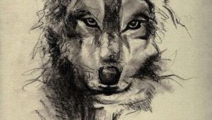 Drawing A Wolf Head Wolf Face Sketch Art Wallpaper Wolves Wolf Tattoos Tattoos