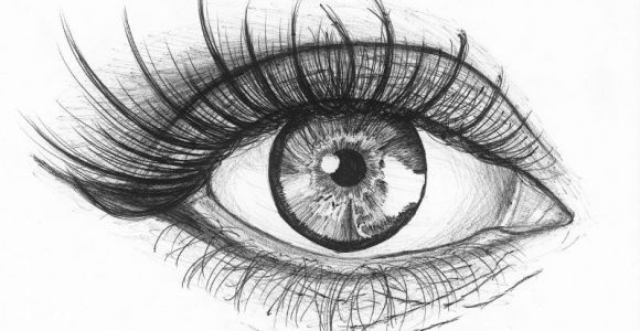 Drawing An Eye In Illustrator Eye by Billie Juniper Waugh Billie Juniper Waugh Pinterest
