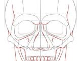Drawing Anatomical Skull How to Draw A Human Skull Step by Step Drawing Tutorials for Kids