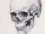 Drawing Anatomical Skull Realistic Skull Drawing Realistic Skull Drawing How to Draw A Skull