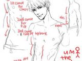 Drawing Anatomy Tumblr 15 Best Male Anatomy Images Drawings Sketches Anatomy Drawing