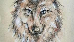 Drawing and Painting A Wolf Wolf Drawing In Crayons Art Drawings Crayon Drawings