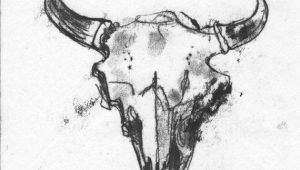 Drawing Animal Skulls Buffalo Skull Monotype original Art On Paper 8 X by Mariahscee