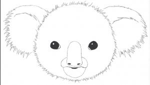 Drawing Bear Eyes Pin by Michaa Tucki On Drawing Pinterest
