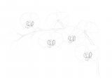Drawing Beautiful Flowers Step by Step How to Draw Flowers the Sexy and Sultry orchid