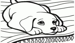 Drawing Black and White Dogs Fresh Black and White Dog Coloring Pages Nicho Me