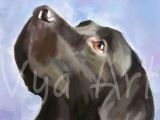 Drawing Black Dogs 4 Th Of July Black Labrador Gun Dog Print Retriever Fine by Vyaart