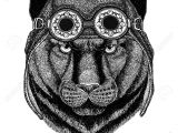 Drawing Black Panther Animal Stock Photo
