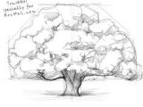Drawing Bushes 51 Best How to Draw Realistic Trees Plants Bushes and Rocks Images