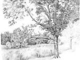 Drawing Bushes Image Result for How to Draw Realistic Bushes How to Draw