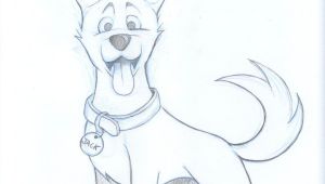 Drawing Cartoon Dog Eyes Drawings Of Dogs Kelpie Dog Sketch by Timmcfarlin On Deviantart