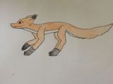 Drawing Cartoon Jackal Fox Stalking Prey the Drawing Crew Pinterest Drawings