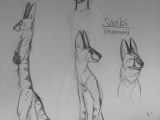 Drawing Cartoon Jackal I Did A Bit Of A Redesign for An Old Fantasy Oc I Might Change His