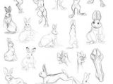 Drawing Cartoons 101 101 Best Rabbit Drawings Images Bunnies Funny Bunnies Rabbit Drawing