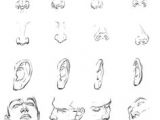 Drawing Cartoons Tutorial Pdf 114 Best Character Anatomy Nose Images Drawing Techniques