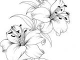 Drawing Colored Flowers Easy 215 Best Flower Sketch Images Images Flower Designs Drawing S