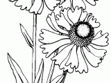 Drawing Craft Flowers 16 More Line Drawings Craft Ideas Drawings Embroidery
