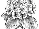Drawing Craft Flowers 25 Beautiful Flower Drawing Ideas Inspiration Drawing Bordado