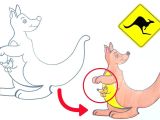 Drawing Cute Animals Step by Step How to Draw Kangaroo for Kids Kangaroo Cuteanimals Drawing
