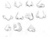 Drawing Cute Noses How to Draw Noses Arts Crafts and Diy Nose Drawing Drawings
