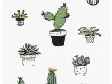 Drawing Cute Plants Pin Od Poua A Vatea A Katara Na Roa Incova Na Nastenke Kaktusy