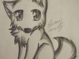 Drawing Cute Wolves Pin by Tristan Stanton On Husky Pinterest Drawings Art Drawings