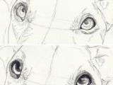 Drawing Dog Eyes How to Draw Dog Eyes that Look Amazingly Realistic Drawings
