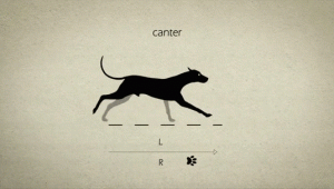 Drawing Dog Gif Gif87a Animation Ref Pinterest Dog Walking Animation and Animal
