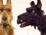 Drawing Dogs Blood isle Of Dogs Cast Meet the Famous Voice Actors Hollywood Reporter