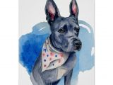 Drawing Dogs Ears Blue Nose Pit Bull Dog Watercolor Painting Poster at Zazzle Com
