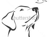 Drawing Dogs Ears My Sadies Ears Tattoos Art Labrador Drawings