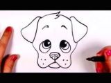 Drawing Dogs Face Draw A Dog Face Drawings Drawings Dogs Drawing for Kids