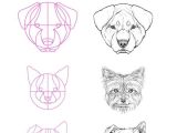 Drawing Dogs Face Eine Exquisite tonne Hundereferenzen Um Den Text Der Groa Eren