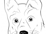 Drawing Dogs Face Learn How to Draw German Shepherd Dog Face Farm Animals Step by