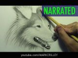 Drawing Dogs In Motion How to Draw A Dog Narrated Step by Step Youtube