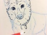 Drawing Dogs Tips Making Up A New Pet Portrait for Salt Lake City Comic Con This One