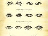 Drawing Dragon Eye Step by Step How to Draw A Cute Easy Dragon Dragon Eye Drawing Step by Step at
